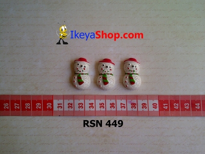rsn 449  large2
